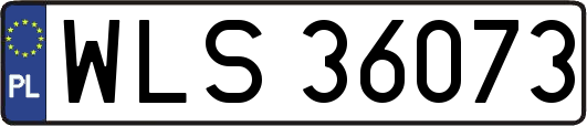 WLS36073