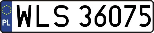 WLS36075