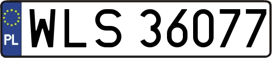 WLS36077