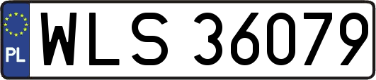 WLS36079