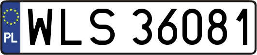 WLS36081
