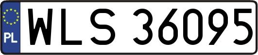 WLS36095