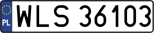 WLS36103