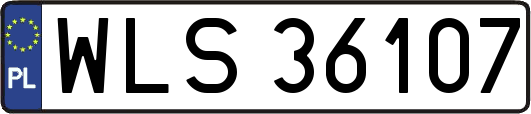 WLS36107