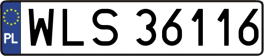 WLS36116