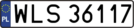 WLS36117