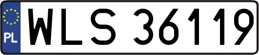 WLS36119