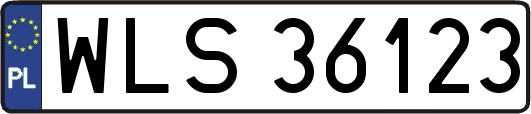 WLS36123