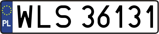WLS36131