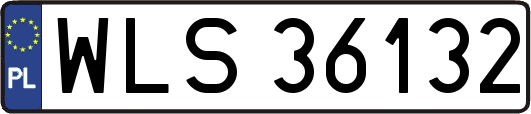 WLS36132