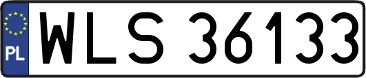 WLS36133