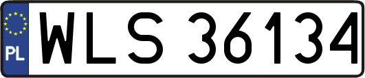 WLS36134