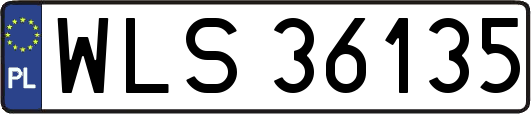 WLS36135