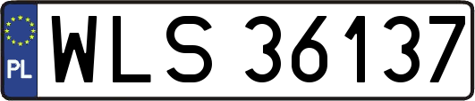 WLS36137