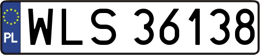 WLS36138