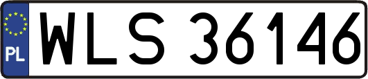 WLS36146