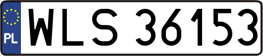 WLS36153