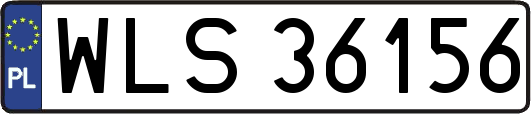 WLS36156