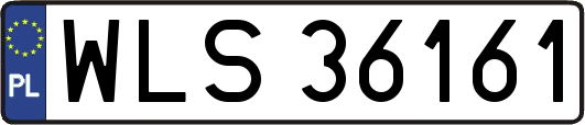 WLS36161