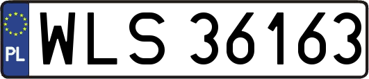WLS36163