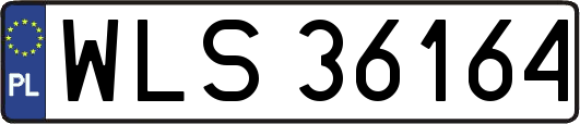 WLS36164