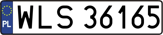 WLS36165