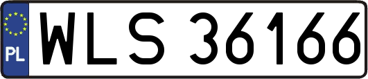 WLS36166
