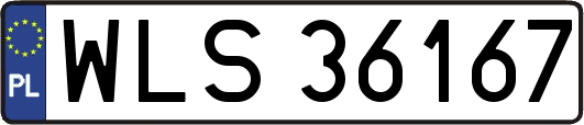 WLS36167