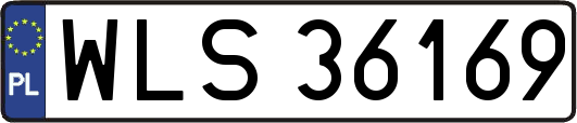 WLS36169