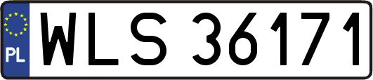 WLS36171
