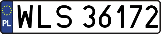 WLS36172