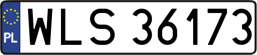 WLS36173