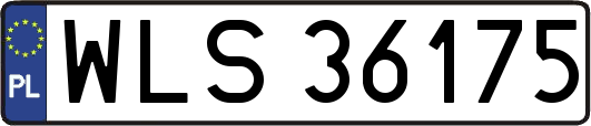 WLS36175