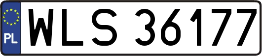 WLS36177