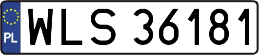 WLS36181