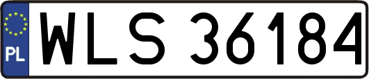WLS36184