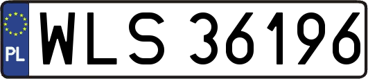 WLS36196