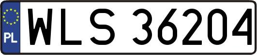 WLS36204