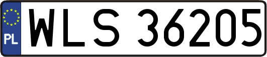 WLS36205