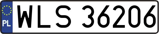 WLS36206