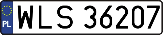 WLS36207