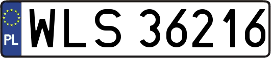 WLS36216