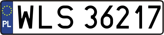 WLS36217