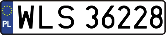 WLS36228