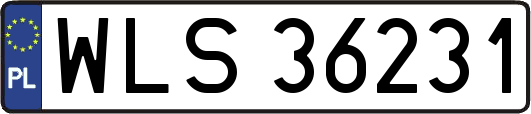 WLS36231