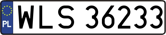 WLS36233