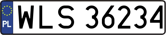 WLS36234