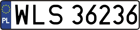 WLS36236