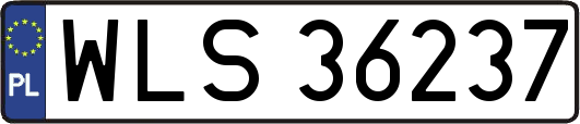 WLS36237