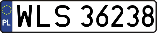WLS36238